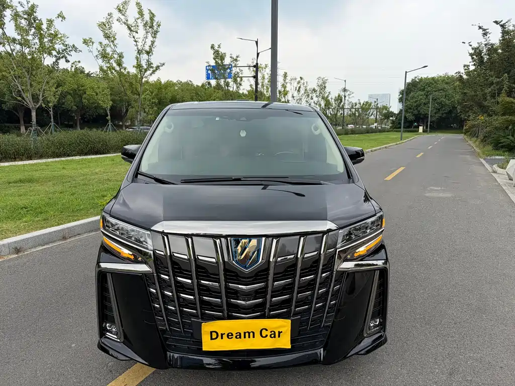 Toyota Alphard — миниатюра 2