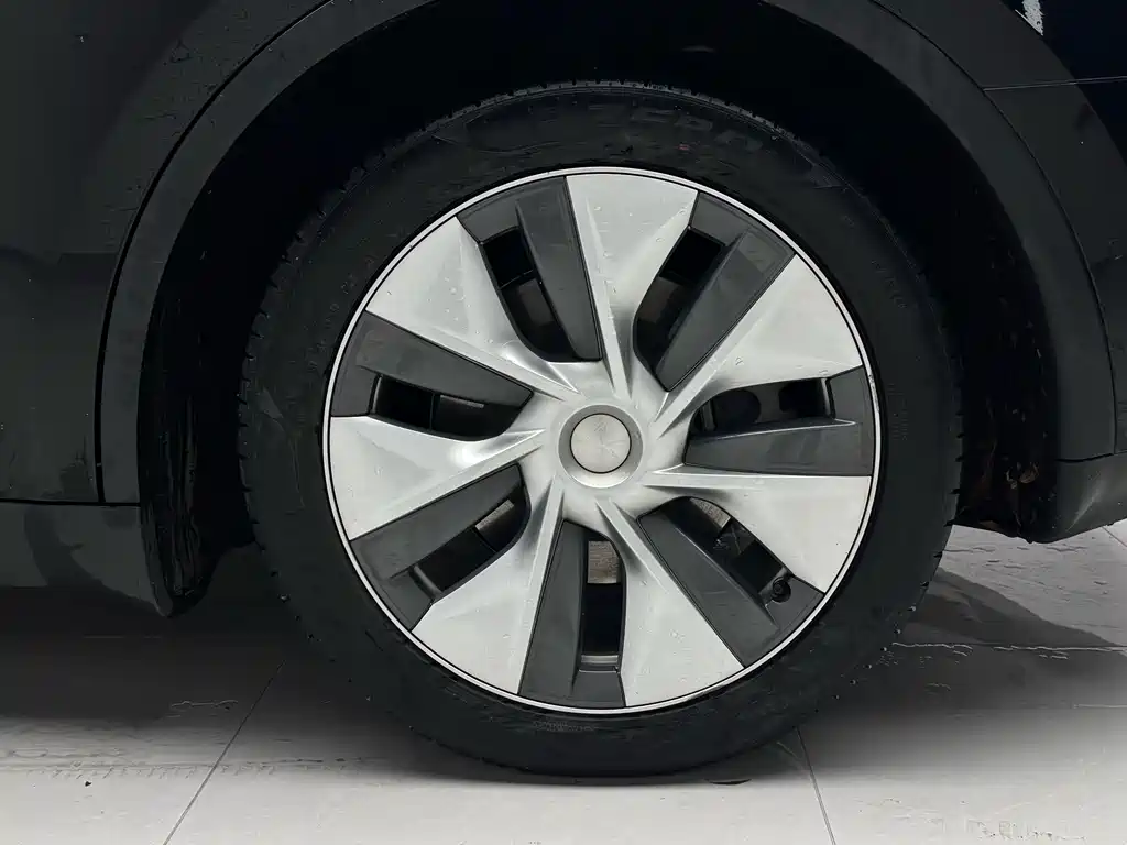 Tesla Model Y — миниатюра 18