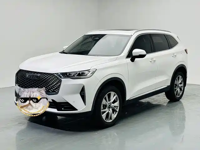 Haval H6 2021 1.5T AT Pro