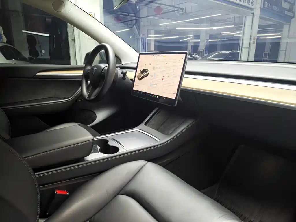 Tesla Model Y — миниатюра 10