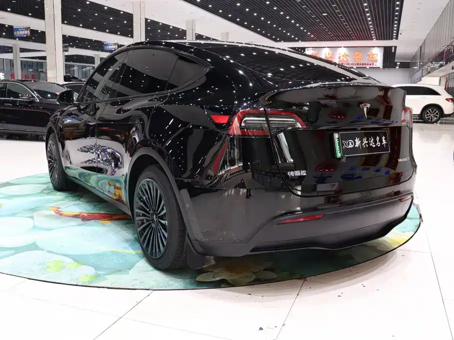 Tesla Model Y — миниатюра 4
