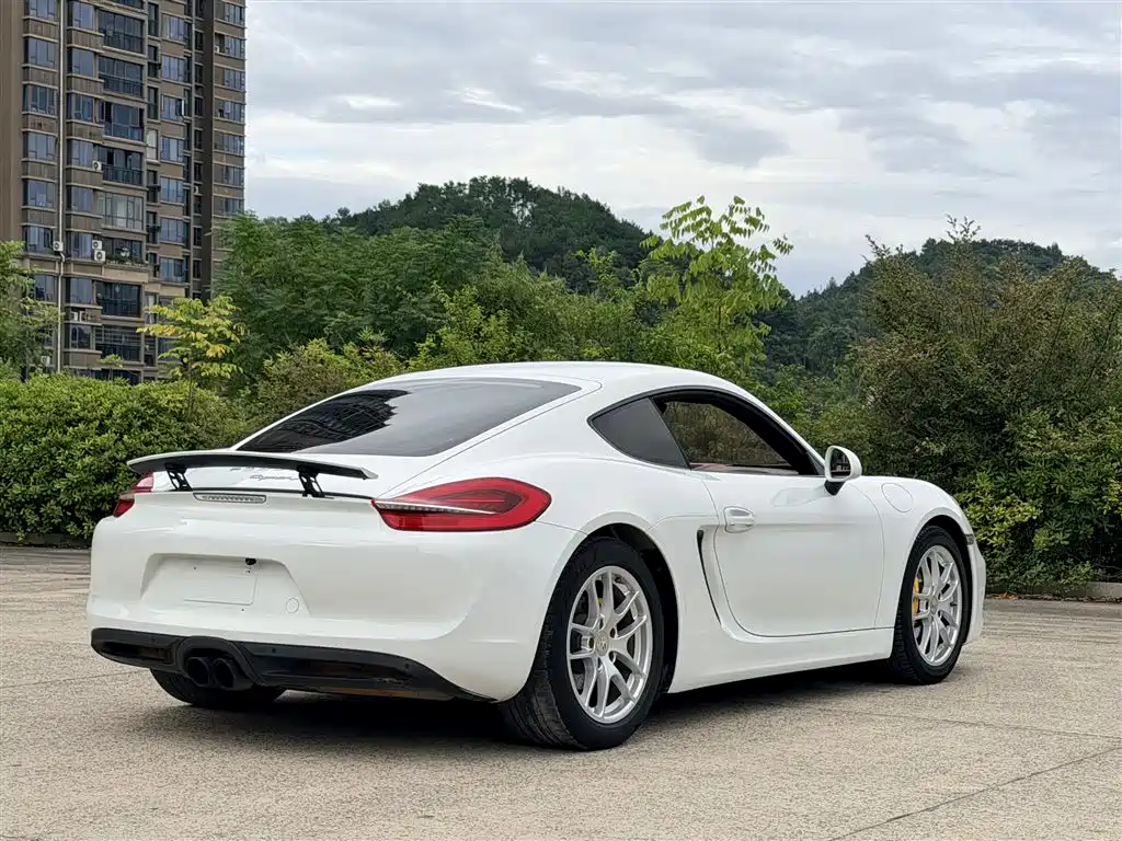 Porsche Cayman — миниатюра 7