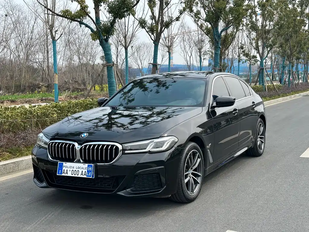 BMW 5 Series 2022