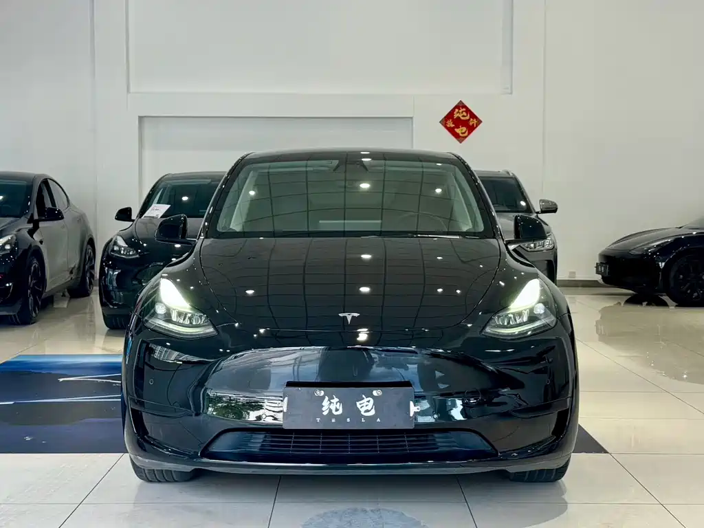 Tesla Model Y — миниатюра 3