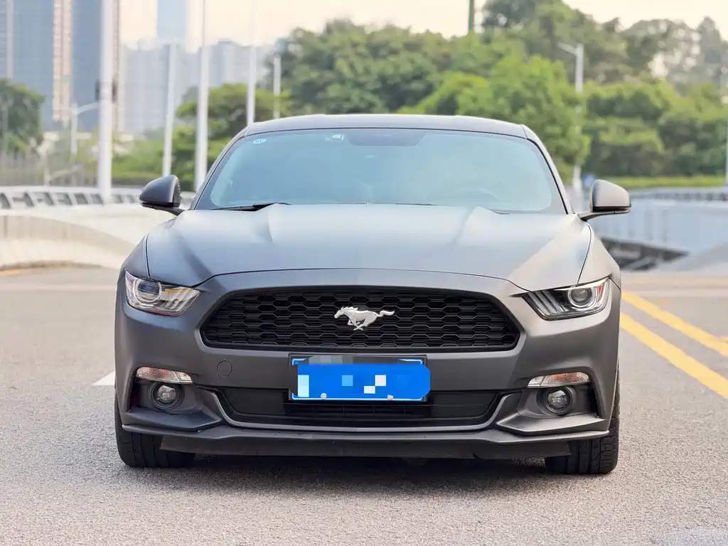 Ford Mustang — миниатюра 2