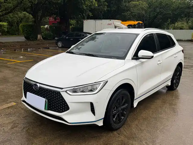 2020 BYD e2