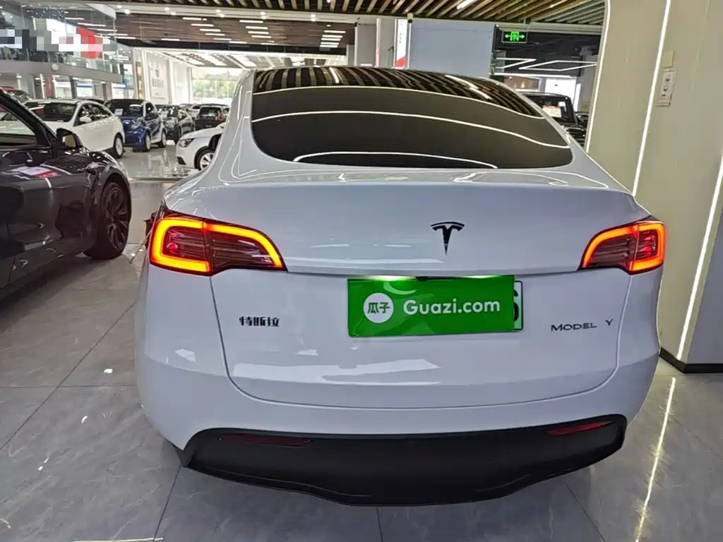 Tesla Model Y — миниатюра 6