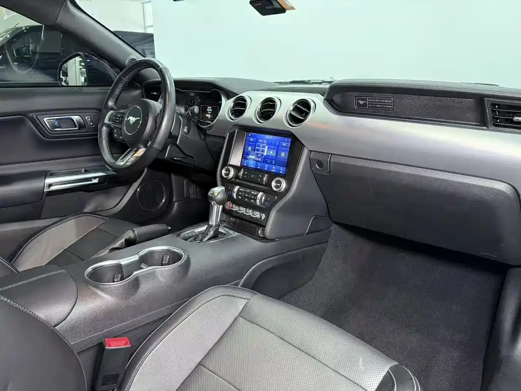 Ford Mustang — миниатюра 10