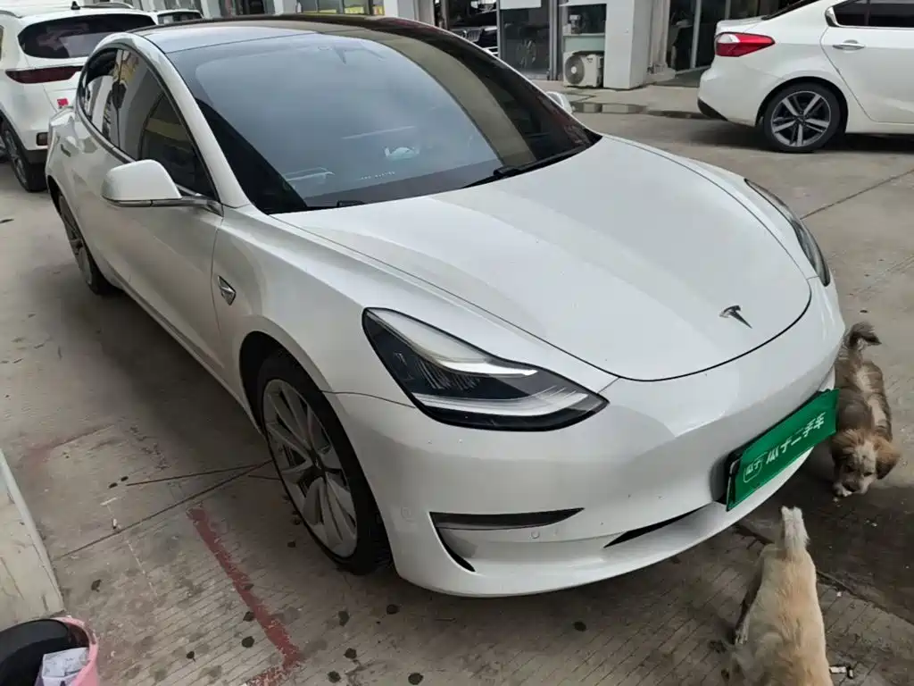 Tesla Model 3 — миниатюра 4