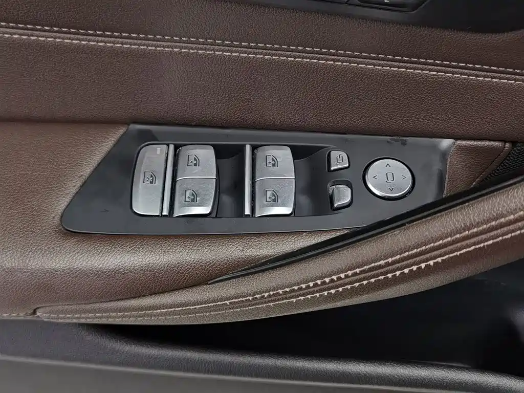 BMW 5 Series 5 2020 525Li Luxury