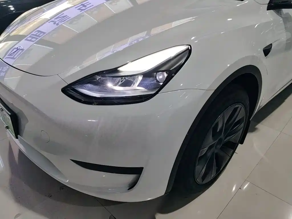 Tesla Model Y — миниатюра 18