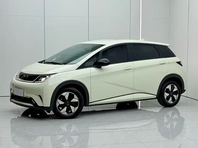 2026 BYD Dolphin