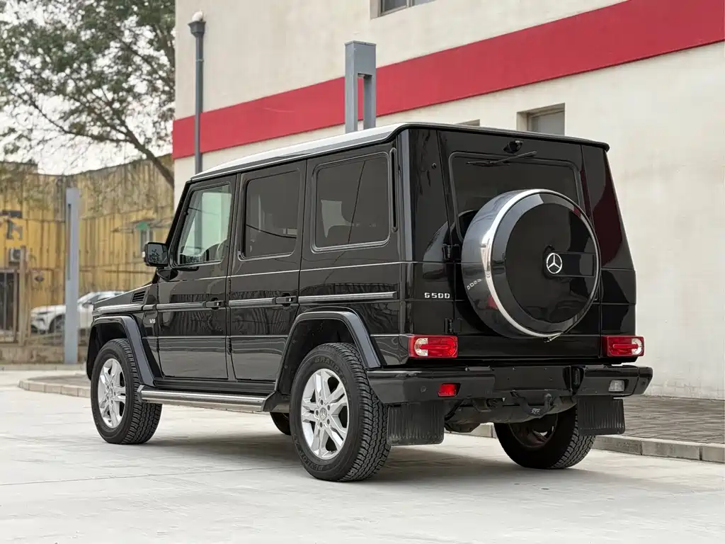 Mercedes-Benz G-Class G 2010 G 500