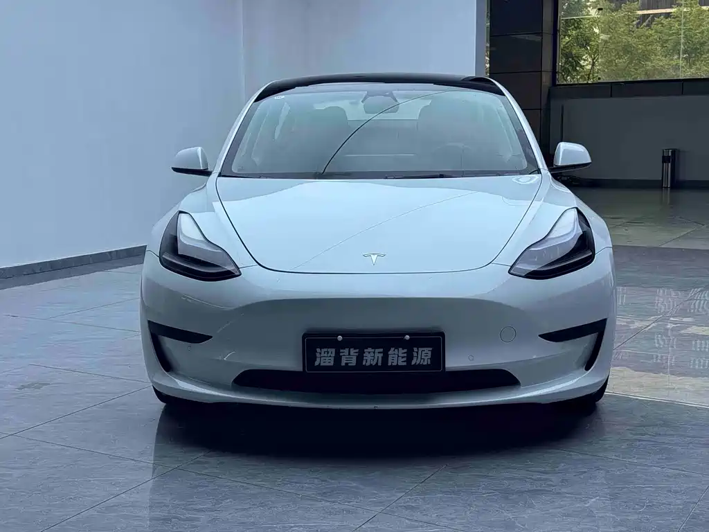 Tesla Model 3 — миниатюра 3