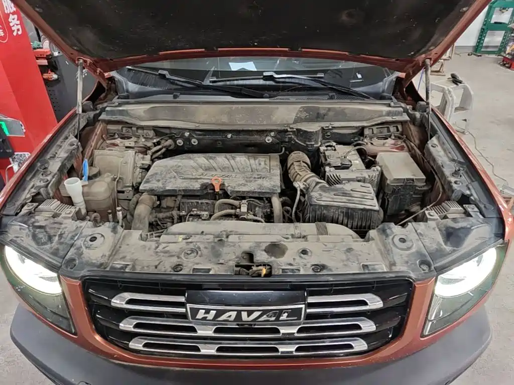 Haval Big Dog — миниатюра 20