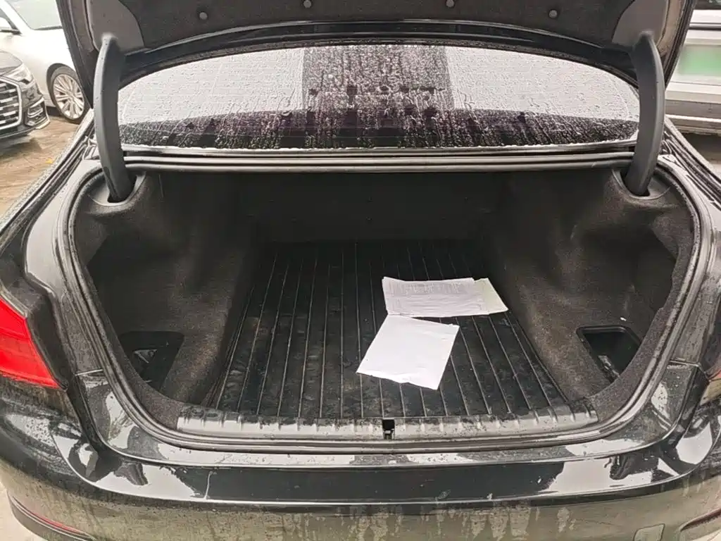 BMW 5 Series — миниатюра 19