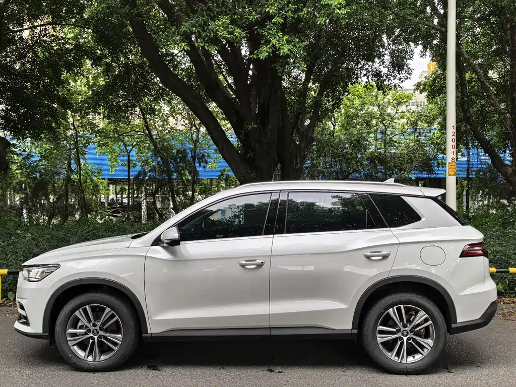 BYD Pro — миниатюра 3