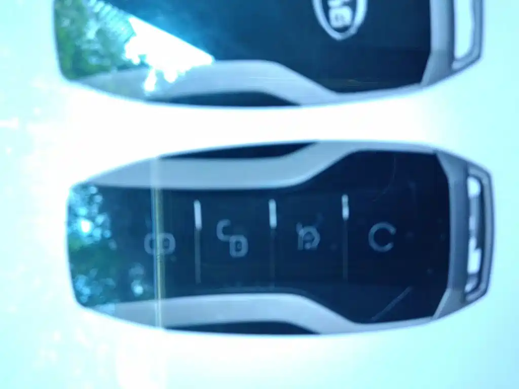 BYD Tang New Energy — миниатюра 9
