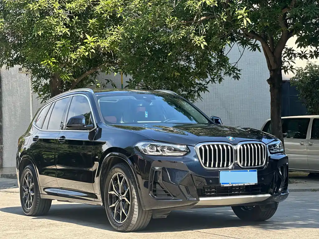 BMW X3 — миниатюра 3