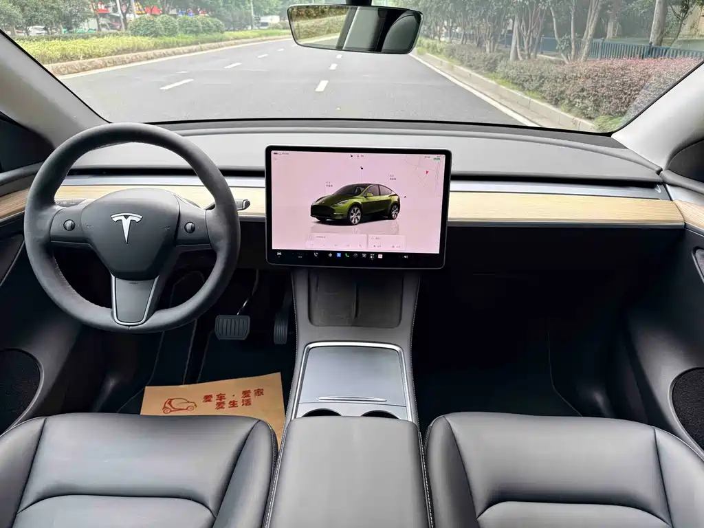 Tesla Model Y — миниатюра 13