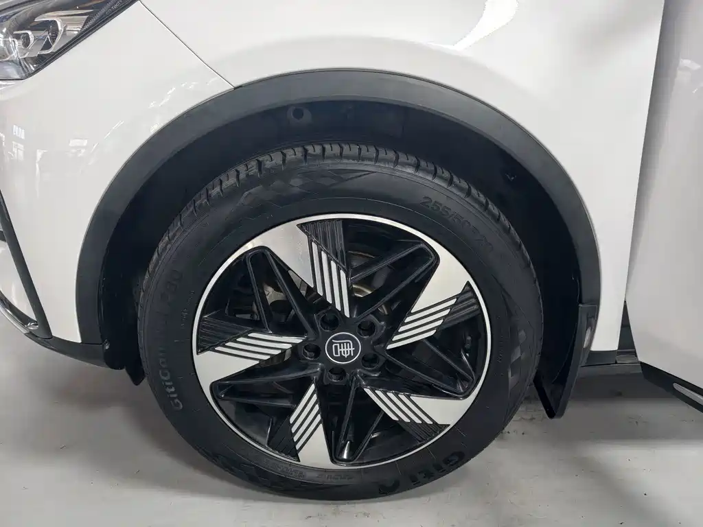 BYD Tang New Energy — миниатюра 18