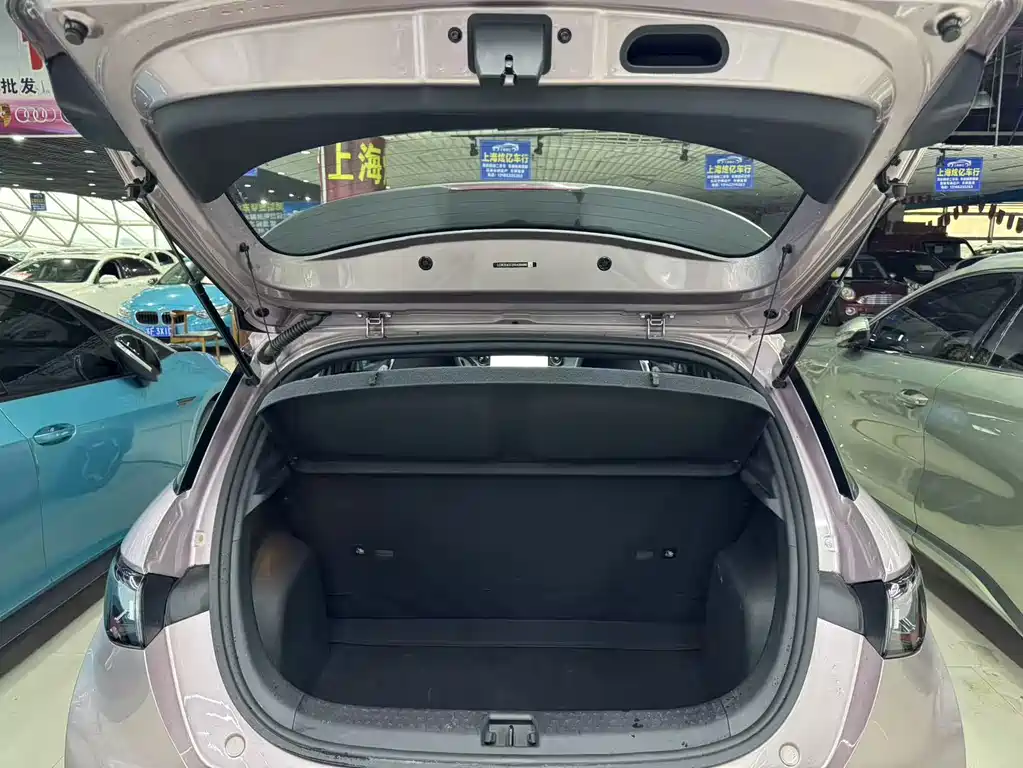 BYD Dolphin — миниатюра 13