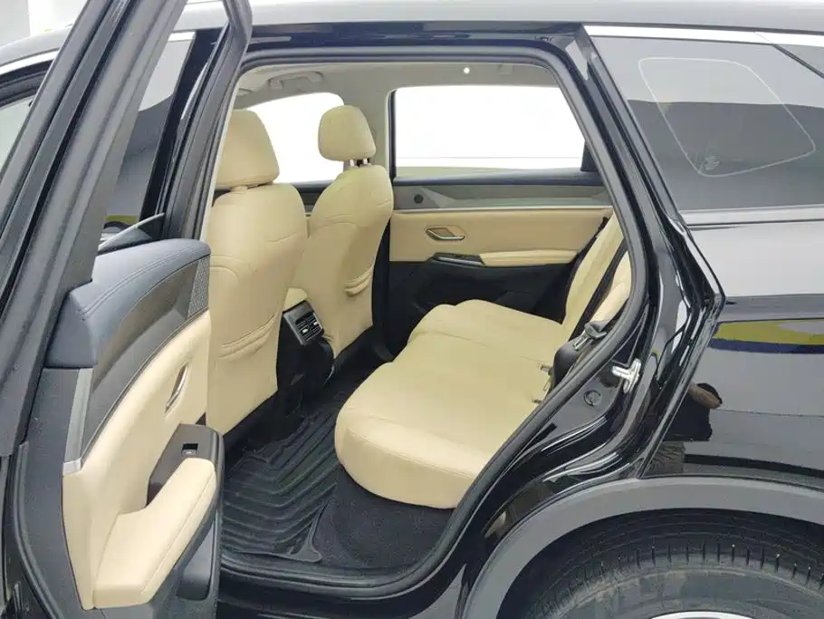BYD Pro New Energy — миниатюра 11