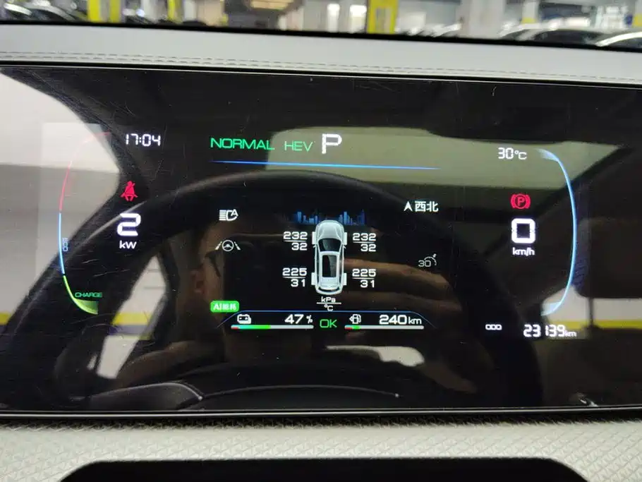 BYD Pro New Energy — миниатюра 14