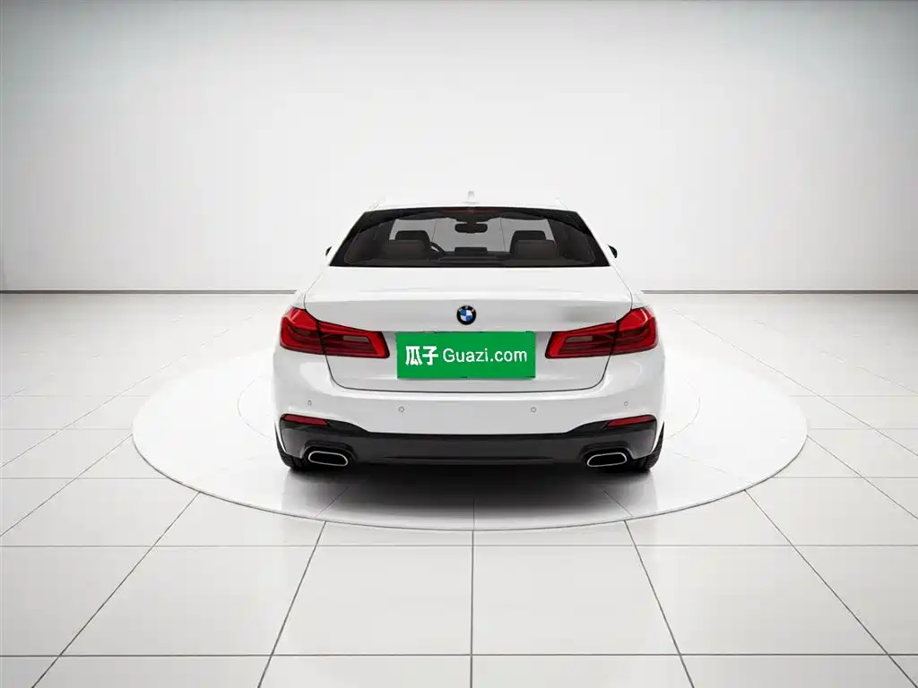 BMW 5 Series 5 2020 530Li Premium M Sport