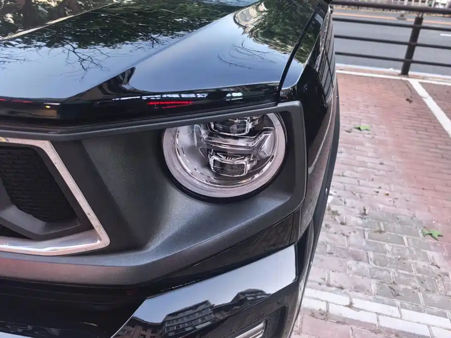 Haval Big Dog PLUS — миниатюра 5