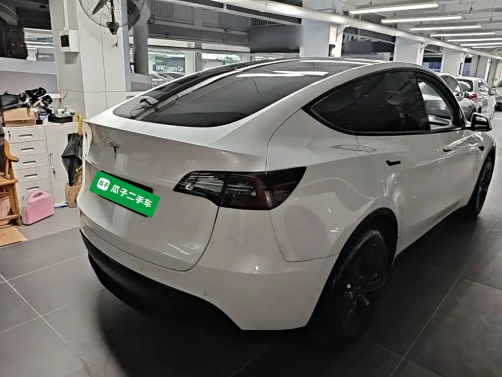 Tesla Model Y — миниатюра 7