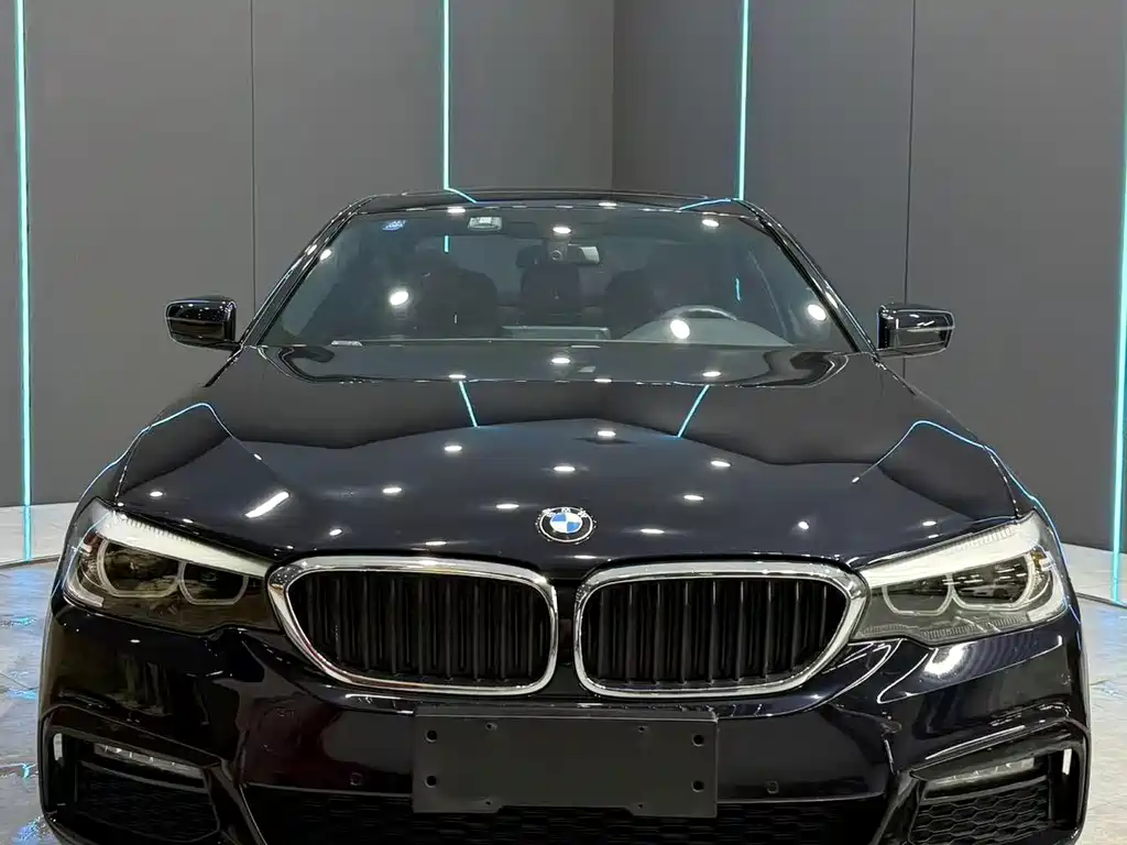 BMW 5 Series — миниатюра 2