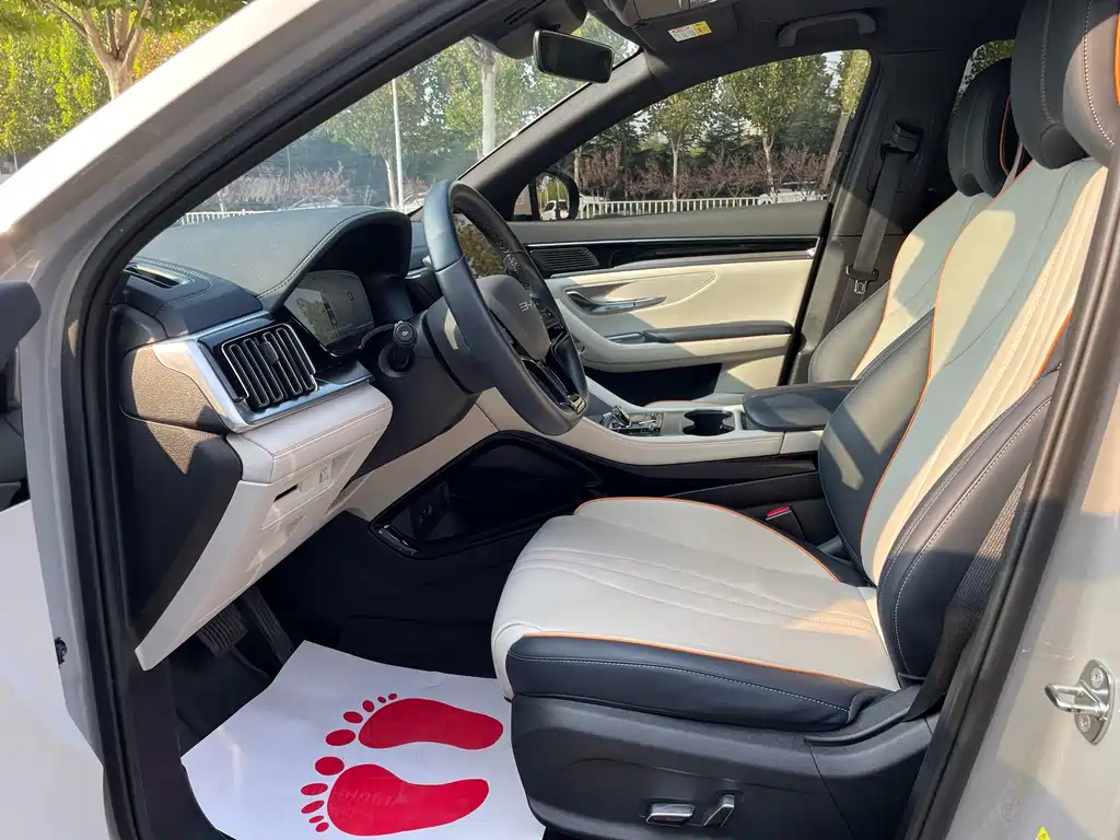 BYD PLUS New Energy — миниатюра 7