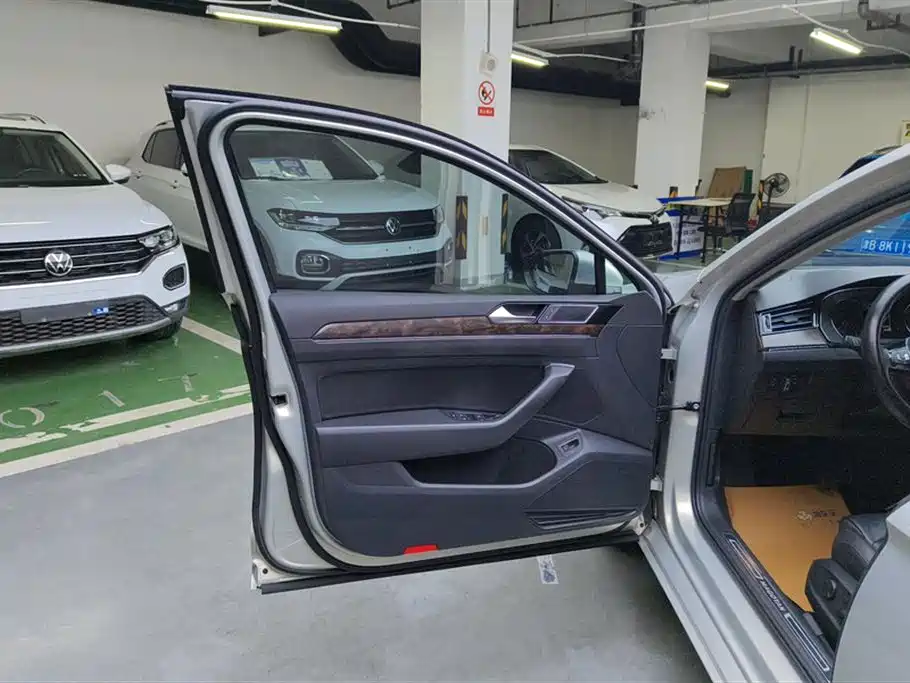 Volkswagen Magotan 2019 330TSI DSG Luxury VI