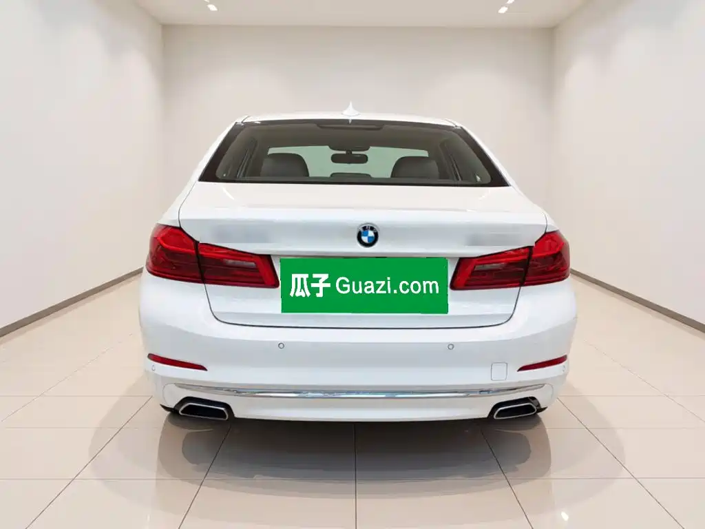BMW 5 Series 5 2020 530Le Luxury