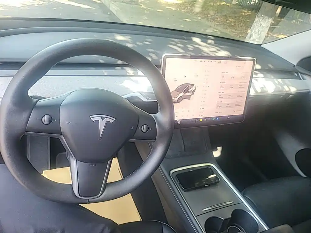 Tesla Model Y — миниатюра 10