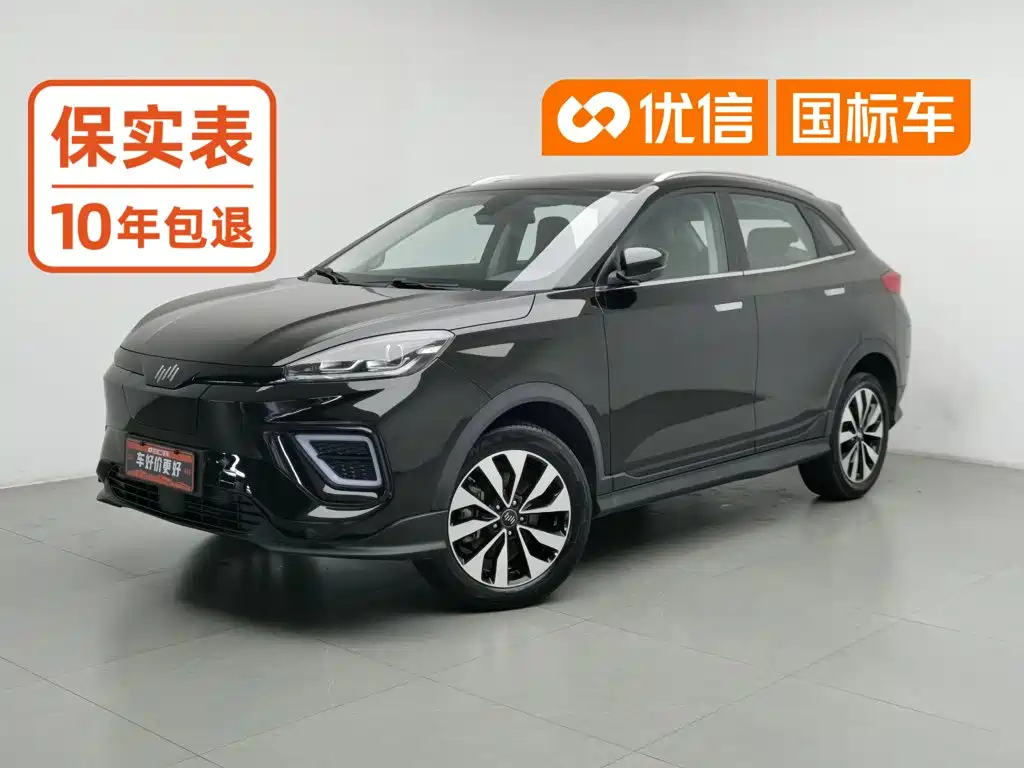 WM Motor EX5