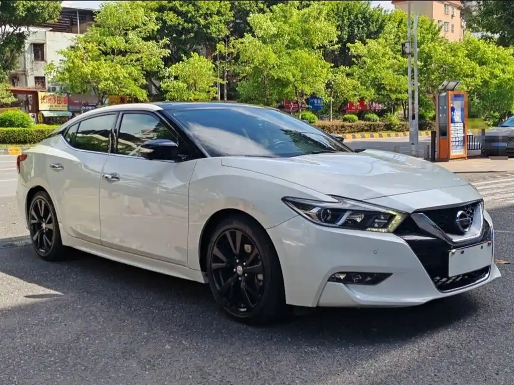 Nissan Cima — миниатюра 4