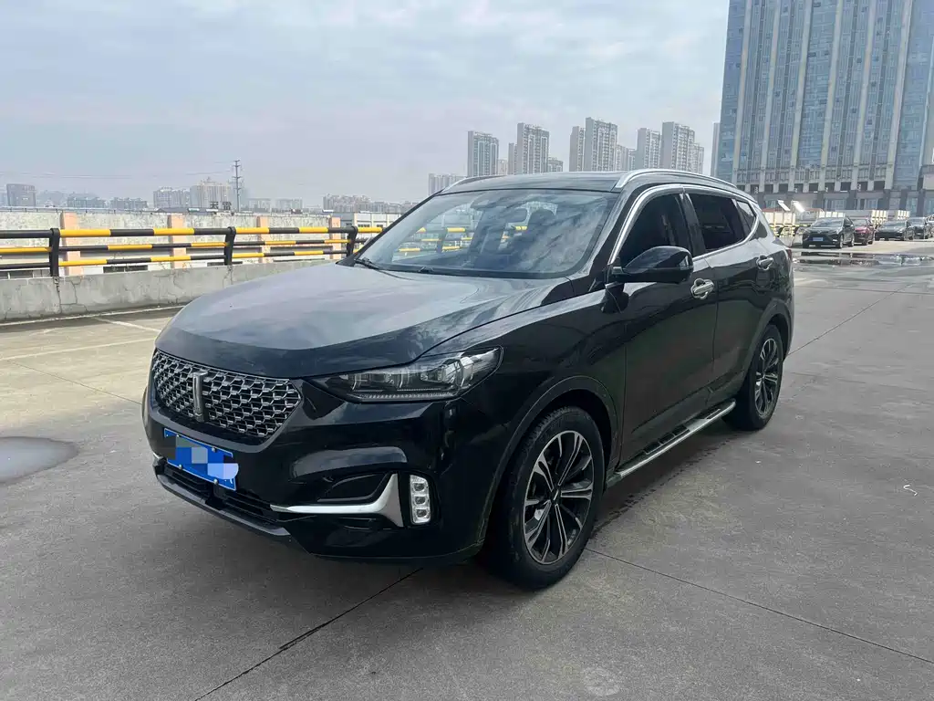 Wey Wey VV6 2020