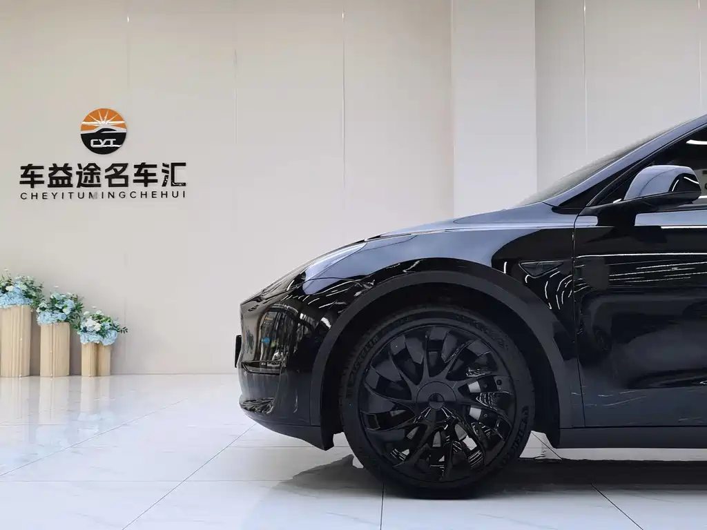 Tesla Model Y — миниатюра 29