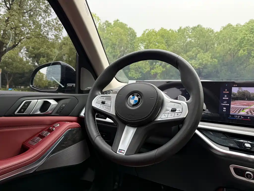 BMW X5 — миниатюра 14