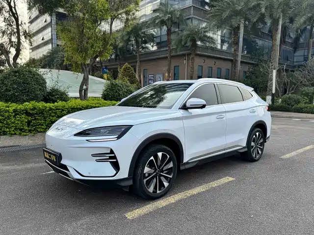 BYD SONGJIANG NEW ENERGY 2024