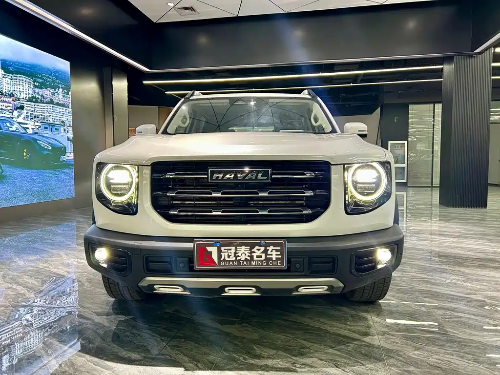 HAVAL BIG DOG