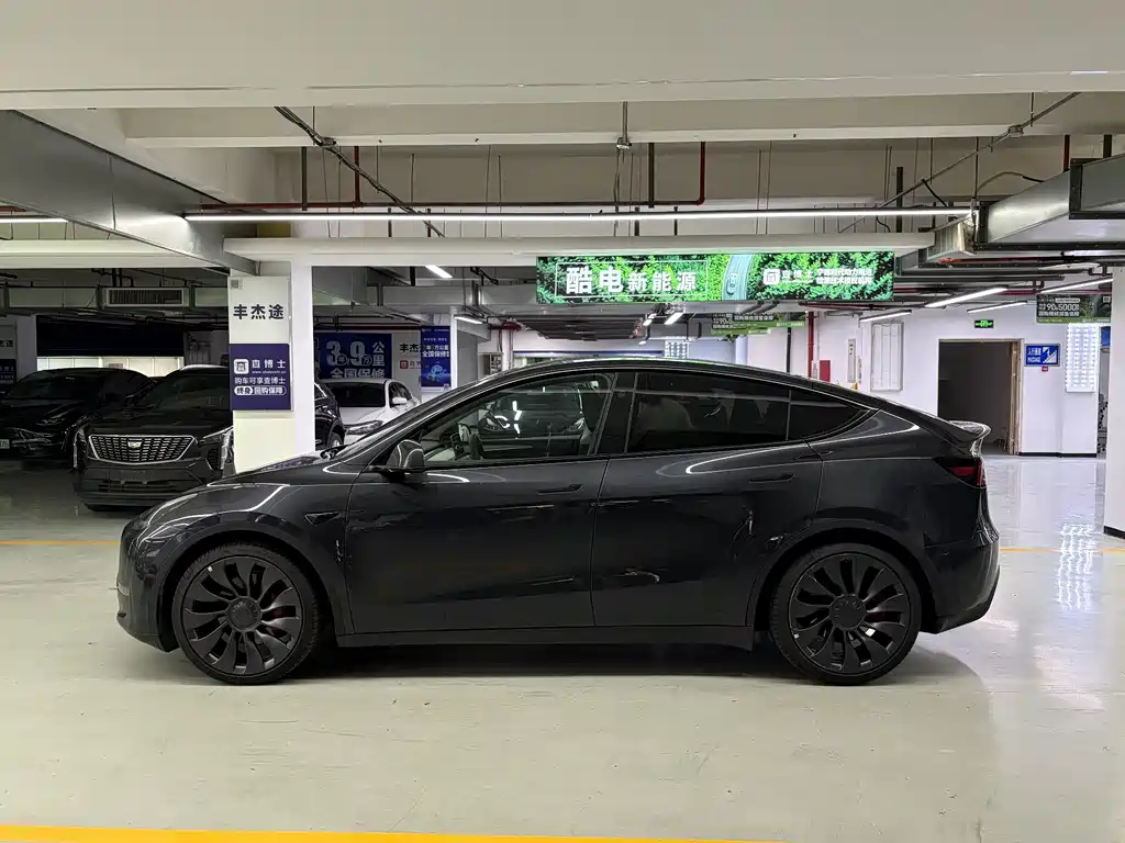 Tesla Model Y — миниатюра 6
