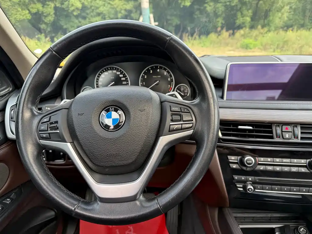BMW X5 (Import) — миниатюра 15