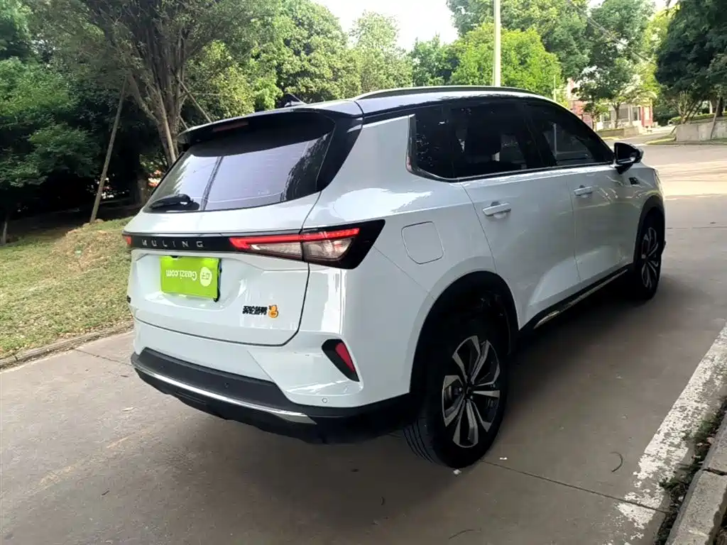 Wuling Xingchen 2022 2.0L DHT