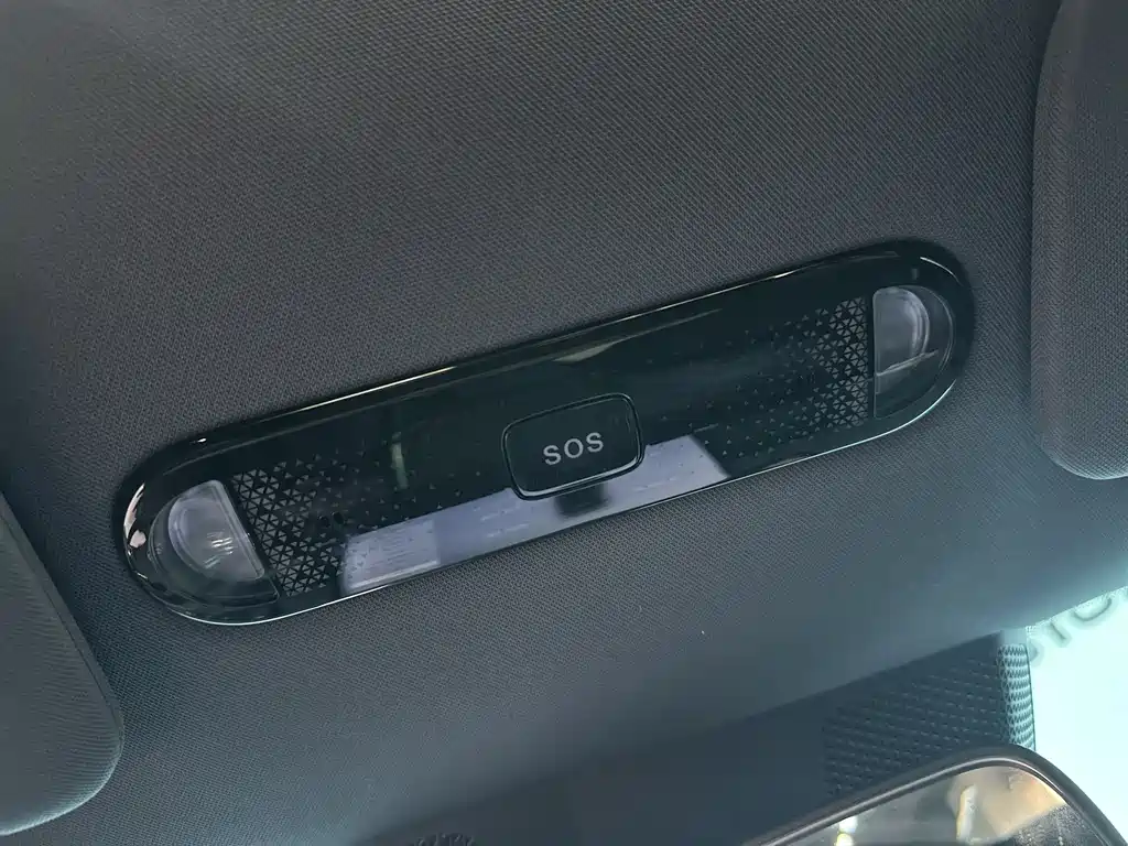 TOYOTA PLATINUM WISDOM 3X