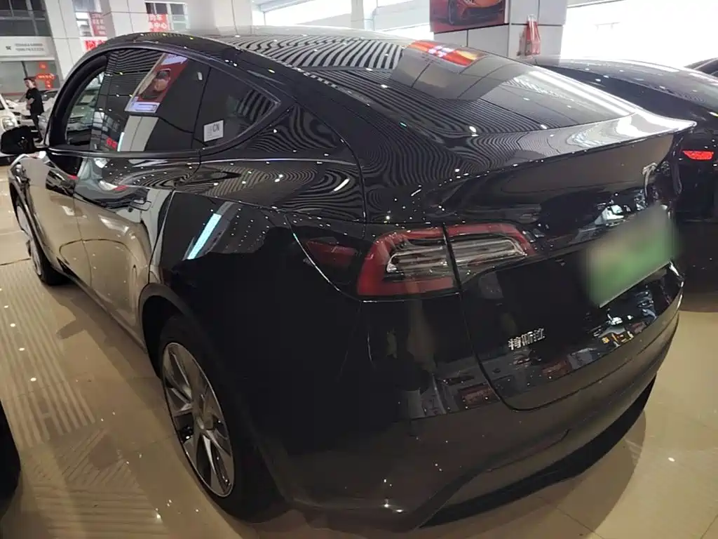 Tesla Model Y — миниатюра 5