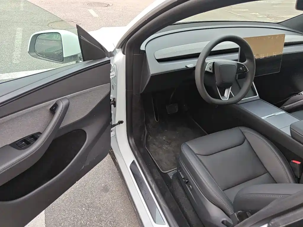 Tesla Model Y — миниатюра 16