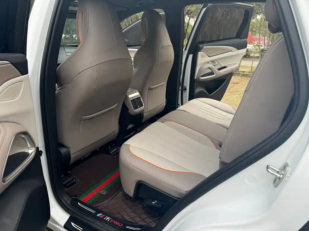 BYD SONGJIANG NEW ENERGY